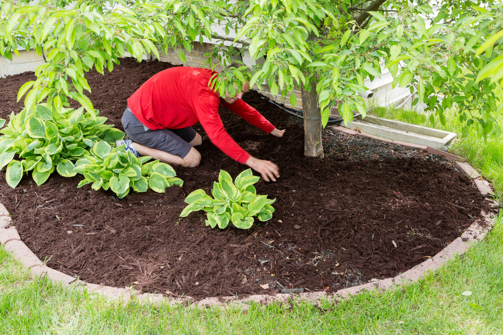 Pest Control Newport OR